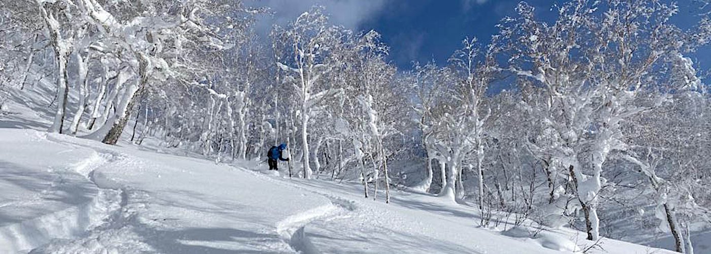 Powder skiing in Japan